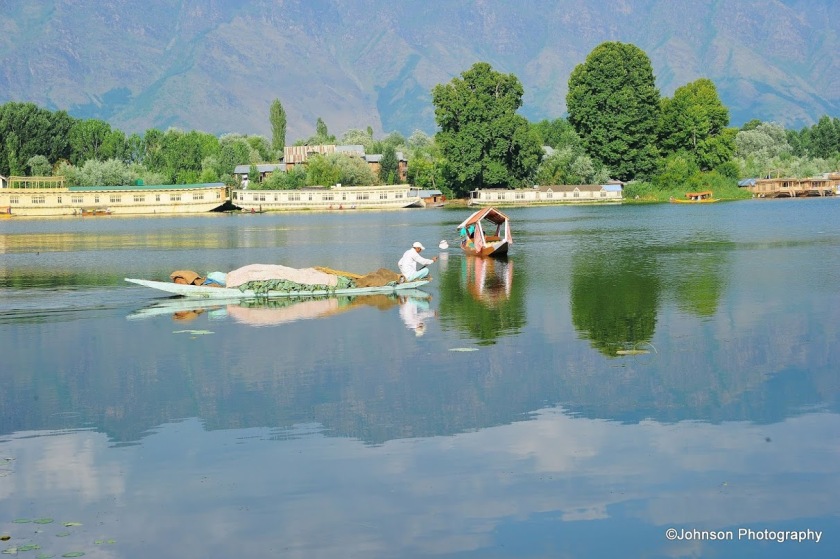 Dal Lake - the shikhara boat with vegetables 