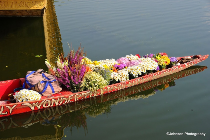 Florist's shikhara boat 